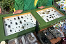 В Саратове экологам вручили награды и почетные грамоты 