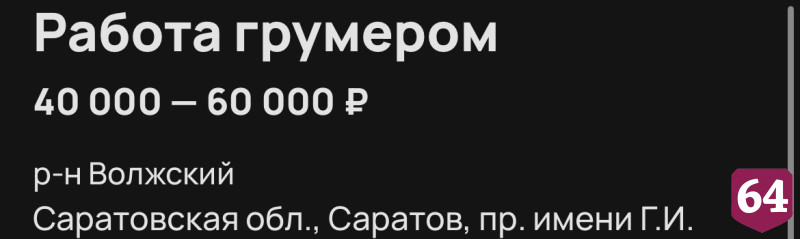 В Саратове за стрижку собак готовы платить 60 тысяч рублей