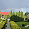 В Саратовской области ожидаются гроза и сильный дождь